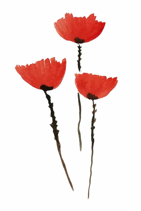 röda blommor livskris fyra faser